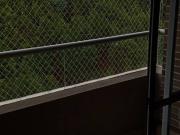 Antioquia, Bello, Amazonia