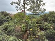 Antioquia, Envigado, Alto De Las Flores