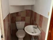 Antioquia, Medellín, Pajarito Antioquia, Medellín, Pajarito