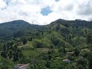 Antioquia, Sabaneta, Vereda San Jose