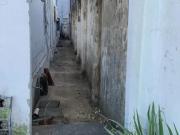 Ao lado padaria rosarinho, avenida norte miguel arraes