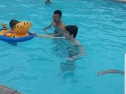 Ap no Bosque