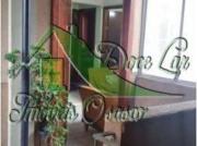 APART. 2 DORM. 4º ANDAR VILA DOS REMÉDIOS CDHU