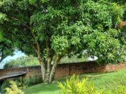 Apartaestudio EN ARRIENDO EN Barranquilla EN San Isidro...