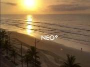 Apartamennto 1quarto frente mar mongagua