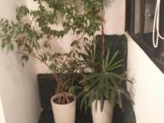 APARTAMENTO 180Mts 03 DORM 01 SUITE 03 VAGAS LAZER R$...