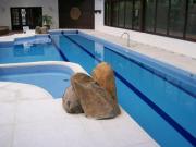 Apartamento 1 Dorm Bairro Vila Suiça