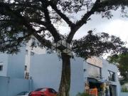 APARTAMENTO 2 DORM NO BAIRRO LOMBA DO PINHEIRO EM PORTO...