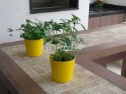 Apartamento, 2 dormitórios, 100 m², em Jardim Pirituba