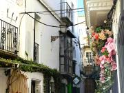 Apartamento 2 dormitorios 69.38 m2