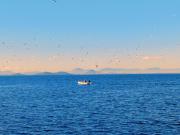 Apartamento 2 dormitorios 91 m2