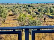 Apartamento 2 dormitorios 91 m2