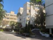 Apartamento 2 Dorms para Alugar 52 m² por R$ 1.860,00