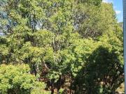 Apartamento SQN 316 asa norte 2 quartos garagem perto do...