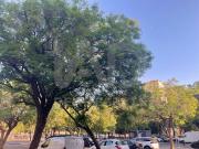 Apartamento 3 dormitorios 75 m2