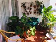 APARTAMENTO 3 DORMITÓRIOS ALTO DE PINHEIROS