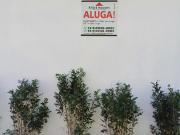 Apartamento 3 Dorms para Alugar 100 m² por R$ 2.300,00