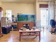 Apartamento, 3 quartos, Portimão, Portimão Centro 87m²...
