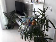 Apartamento 3 Quartos sendo 1 Suíte no Jardim Pedroso,...