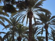 Apartamento 4 dormitorios 105 m2 105m² Alacant