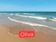 Apartamento 4 dormitorios 120 m2