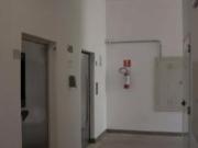 Apartamento 85 m² Localizado No Bairro Vila Leopoldina...