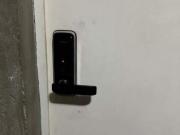 Apartamento à venda 2 quartos 1 vaga Demarchi São...