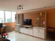 Apartamento à venda 2 quartos 1 vaga Terra Nova São...