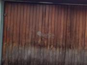 Apartamento à venda, 48 m² por R$ 216.000,00 Itaquera...