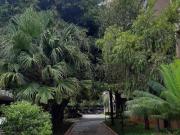 Apartamento á venda 57m² com 2 dormitórios e 1 vaga de...