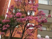 Apartamento à venda, 58 m², 2 Dormitórios Piratininga...