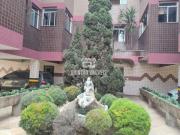 Apartamento à venda, 5 quartos, 3 suítes, 3 vagas,...