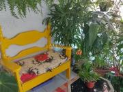 Apartamento Ã venda, 72 mÂ² Praia da Costa Vila Velha/ES