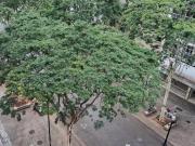 Apartamento à venda Anhangabaú 96m2 / São Paulo /...