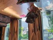 Apartamento à venda em Granja Viana com 319 m², 3...