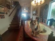 Apartamento à venda em Jardim Ester Yolanda com 178 m²,...