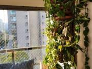 Apartamento a venda em Pinheiro, 78m2, 2 quartos, 2...