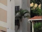 Apartamento com 2 quartos à venda em Belo Horizonte, no...