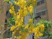 APARTAMENTO A VENDA NA PRAIA EM PERUIBE/SP