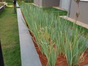 Apartamento com 2 dormitórios à venda, 47 m² por R$...