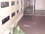Apartamento à venda no Centro