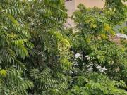 Apartamento à venda no Jardim Marilu