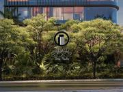 Apartamento à venda no Jardim Paulista