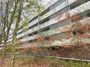 Apartamento, Aldoar Foz do Douro Nevogilde