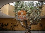 Apartamento Alquiler Alicante