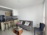 Apartamento amoblado en arriendo en Ciudad Jardín