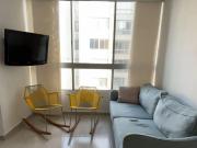 APARTAMENTO AMOBLADO EN RENTA EN ALAMEDA DEL RIO,...