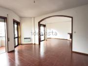 Apartamento, Árvore