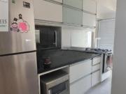 Apartamento, Cambuci, São Paulo, SP
