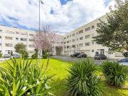 Apartamento, Campo e Sobrado